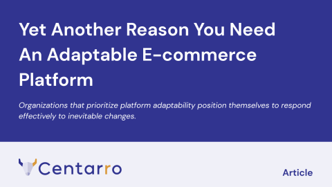 Yet Another Reason You Need An Adaptable E-commerce Platform - Centarro - Article