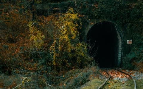 A tunnel at the end of an unused railroad, smothered by trees