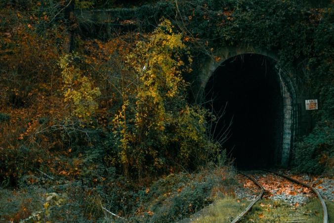 A tunnel at the end of an unused railroad, smothered by trees